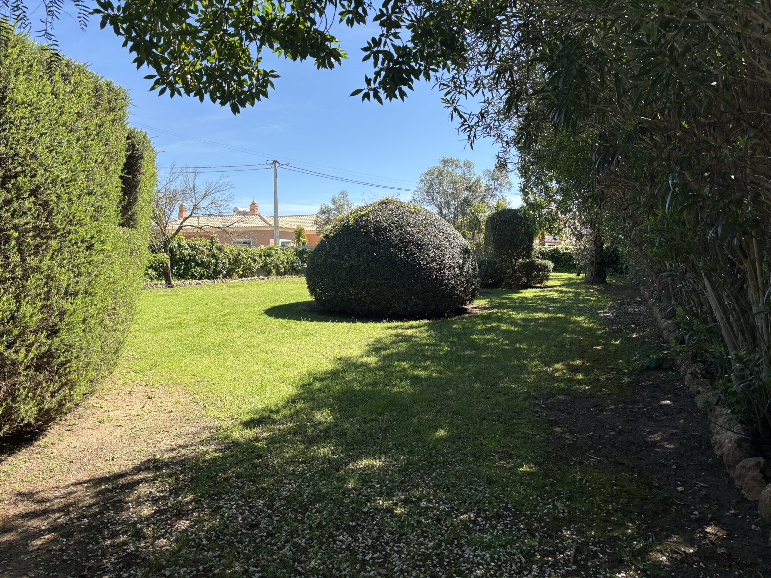 image10